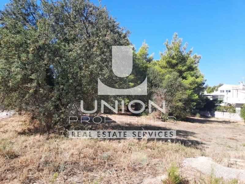 Land in Dionysos, Attica, Greece 1 - 14775593