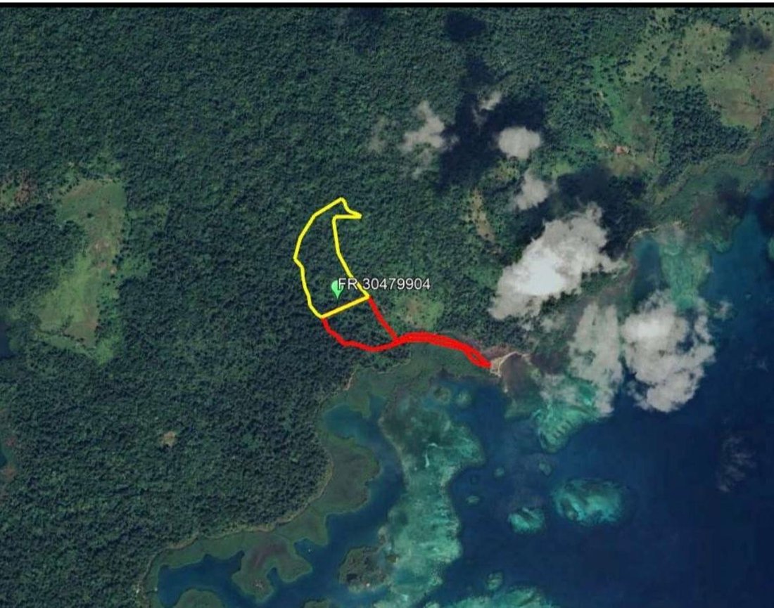 Bastimentos Island, Bocas del Toro Province, Panama 5 - 14776574