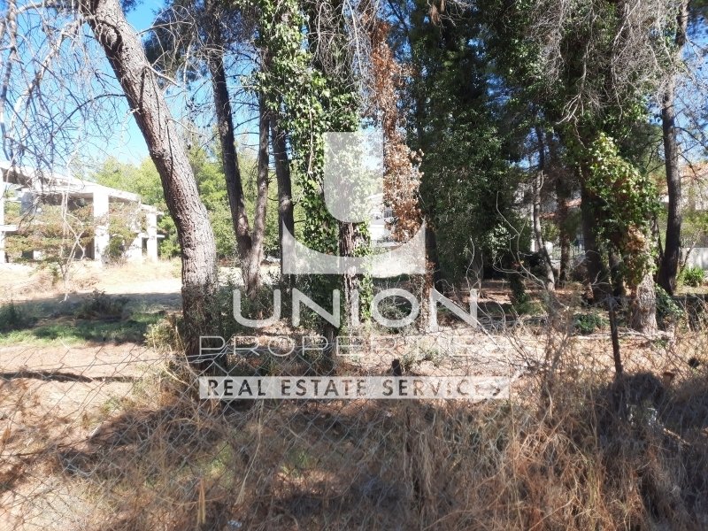 Land in Dionysos, Attica, Greece 2 - 14775593