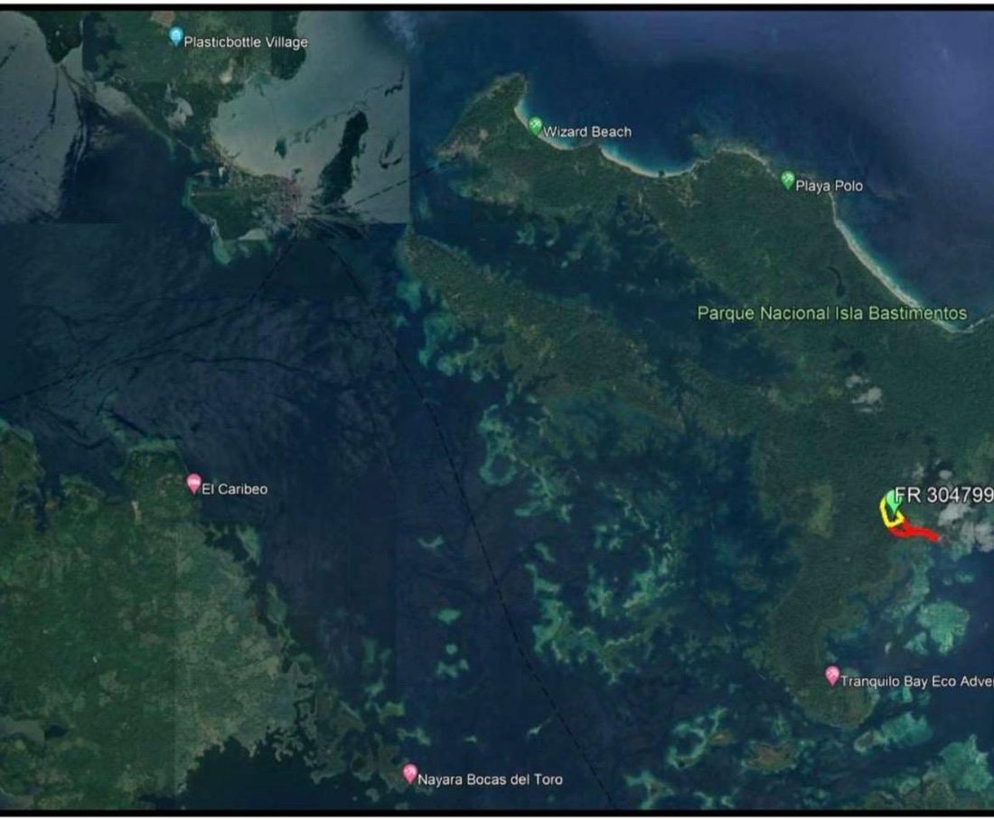 Bastimentos Island, Bocas del Toro Province, Panama 4 - 14776574