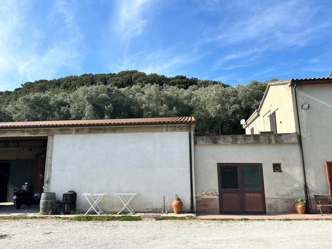 Center, Campiglia Marittima, Tuscany 2 - 14775815