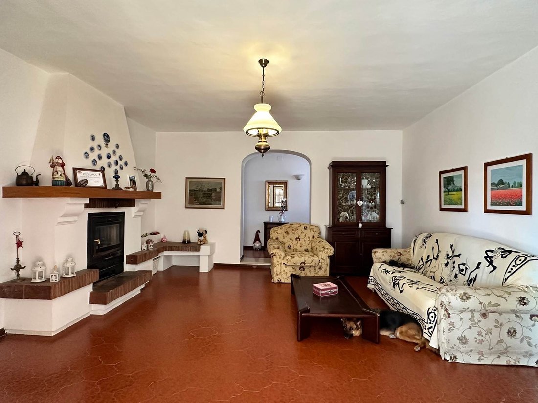 Farm Ranch in Center, Campiglia Marittima, Tuscany 5 - 14775838