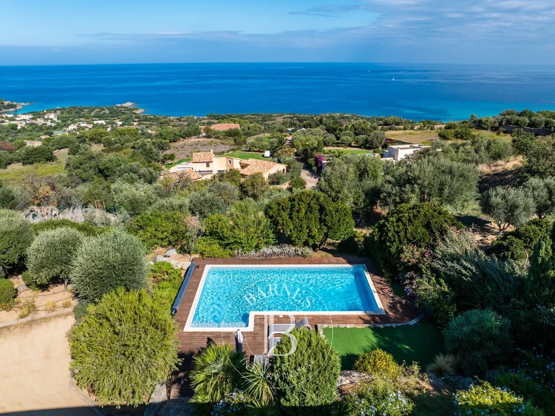 Villa in Corbara, Corsica, France 1 - 14743918