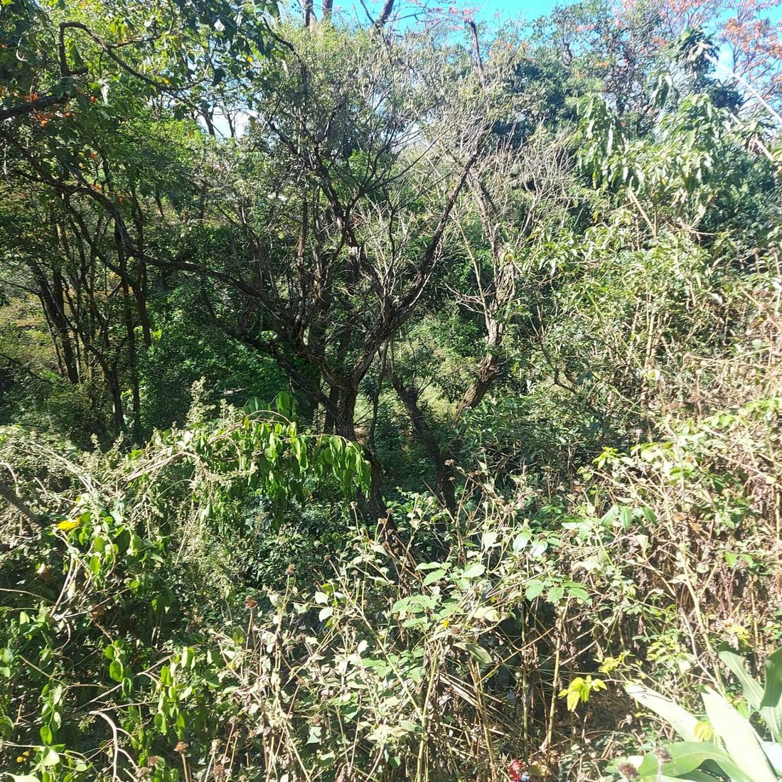 Land in Grecia, Guanacaste Province, Costa Rica 4 - 14778689