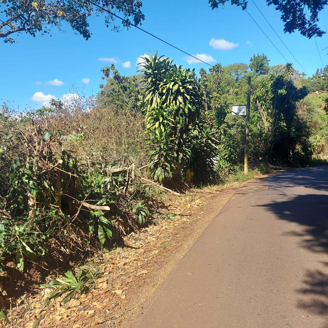 Land in Grecia, Guanacaste Province, Costa Rica 3 - 14778689