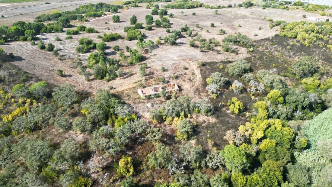Farm Ranch in S.Teotónio, Portugal 4 - 14779615