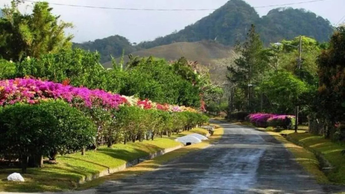 Anton Valley, Coclé Province, Panama 2 - 14586078