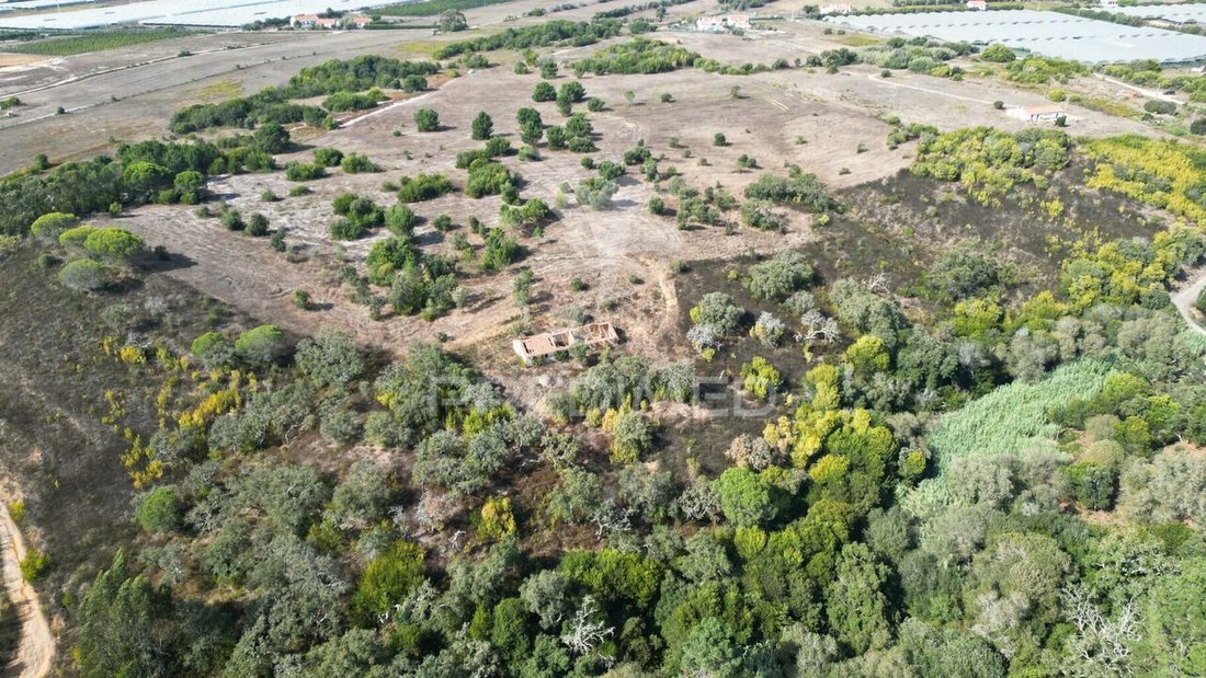 Farm Ranch in S.Teotónio, Portugal 5 - 14779615