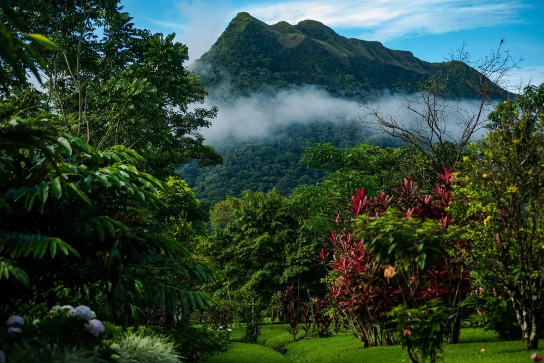 Anton Valley, Coclé Province, Panama 3 - 14586078