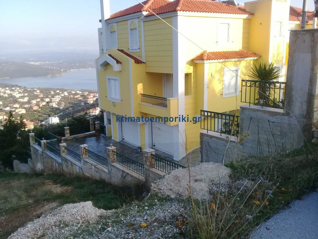House in Kymi - Aliveri Anna, Thessaly and Central Greece, Greece 2 - 14783767