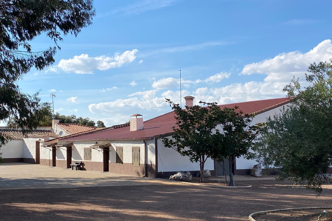 Farm Ranch in Ciudad Real, Castile-La Mancha, Spain 4 - 13023596