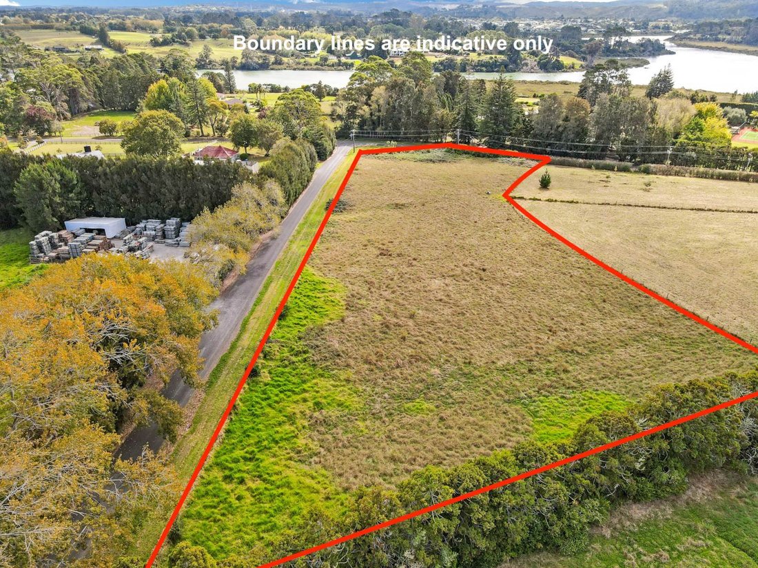 House in Auckland, Auckland, New Zealand 4 - 14783474