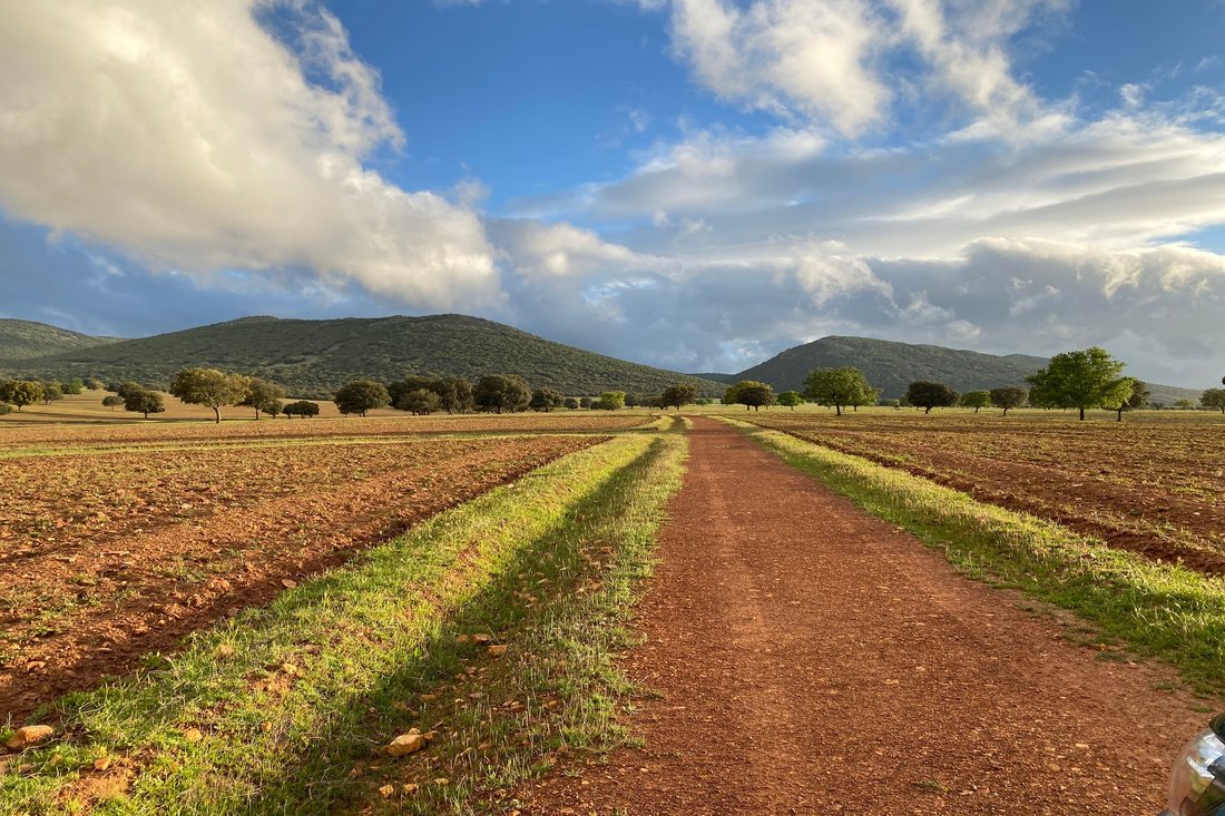 Farm Ranch in Ciudad Real, Castile-La Mancha, Spain 1 - 13023596