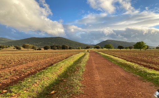 Rancho en Ciudad Real, Castilla-La Mancha, España 1
