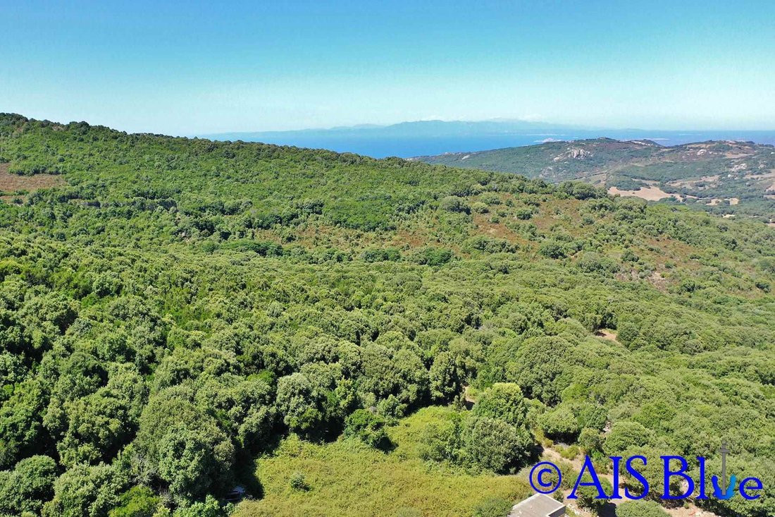 Aglientu, Sardinia, Italy 4 - 14782616