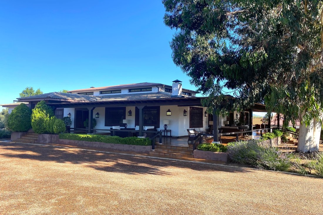 Farm Ranch in Ciudad Real, Castile-La Mancha, Spain 5 - 13023596
