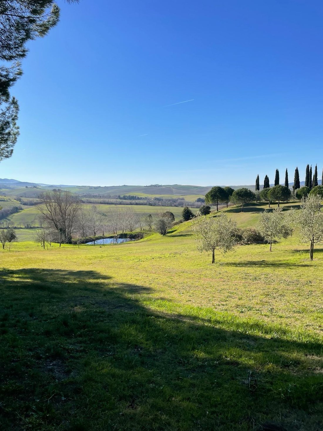 Altro a Casciana Terme, Toscana, Italia 1 - 14786490