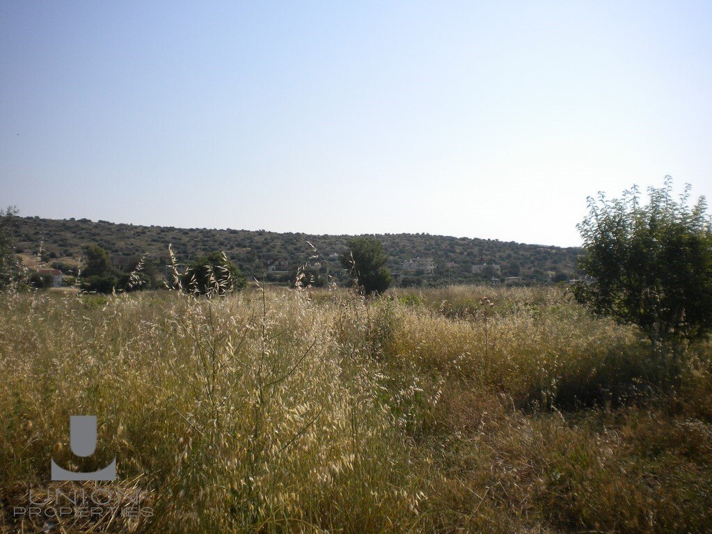 Land in Kropia, Attica, Greece 1 - 14785386