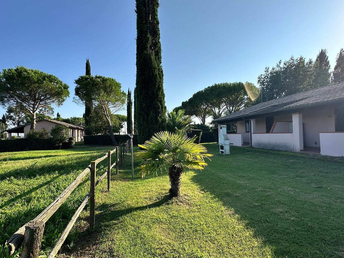 Marrucheto-Rugginosa, Grosseto, Italy 1 - 14785728