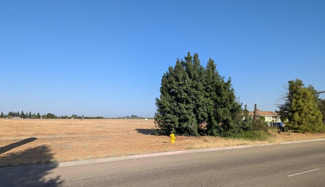 Sanger, California, United States 5 - 14784872