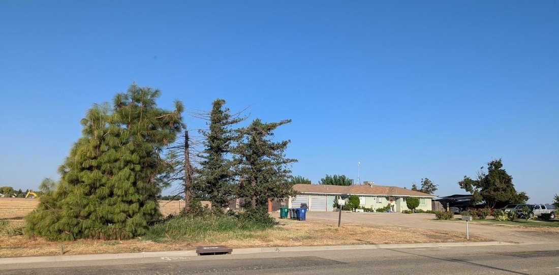 Sanger, California, United States 1 - 14784872