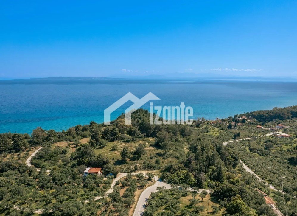 Land in Basilikou, Peloponnese, Western Greece and the Ionian, Greece 1 - 14789902