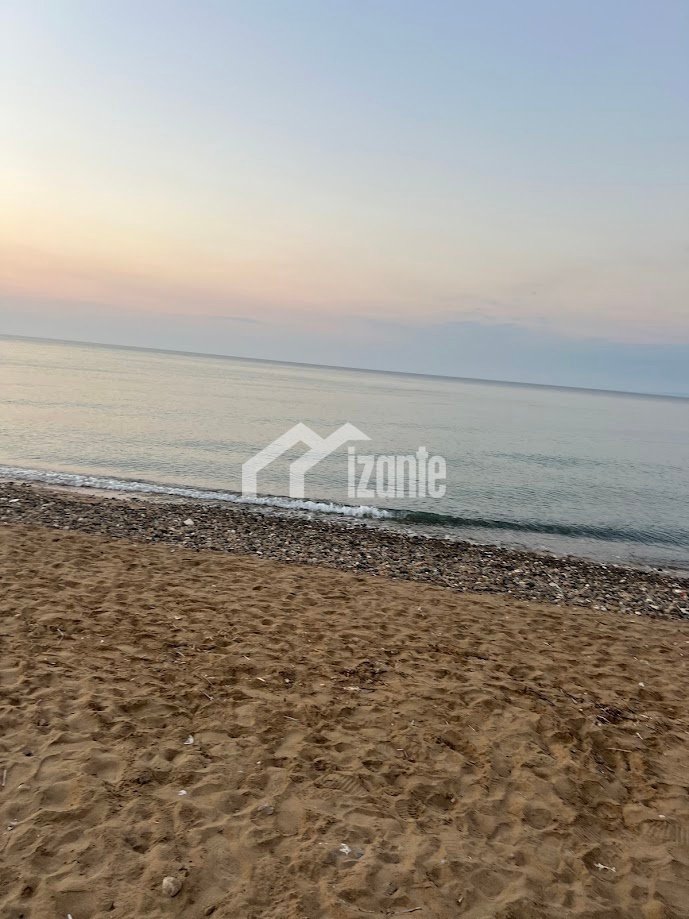 Land in Municipal Commune of Zakynthos, Peloponnese, Western Greece and the Ionian, Greece 3 - 14789989