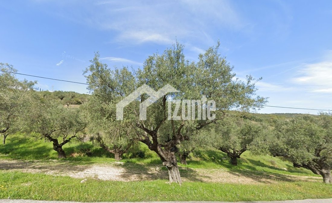 Land in Orthonion, Elaties, Greece 5 - 14789937