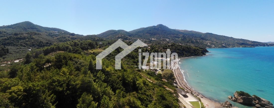 Land in Basilikou, Peloponnese, Western Greece and the Ionian, Greece 4 - 14789902