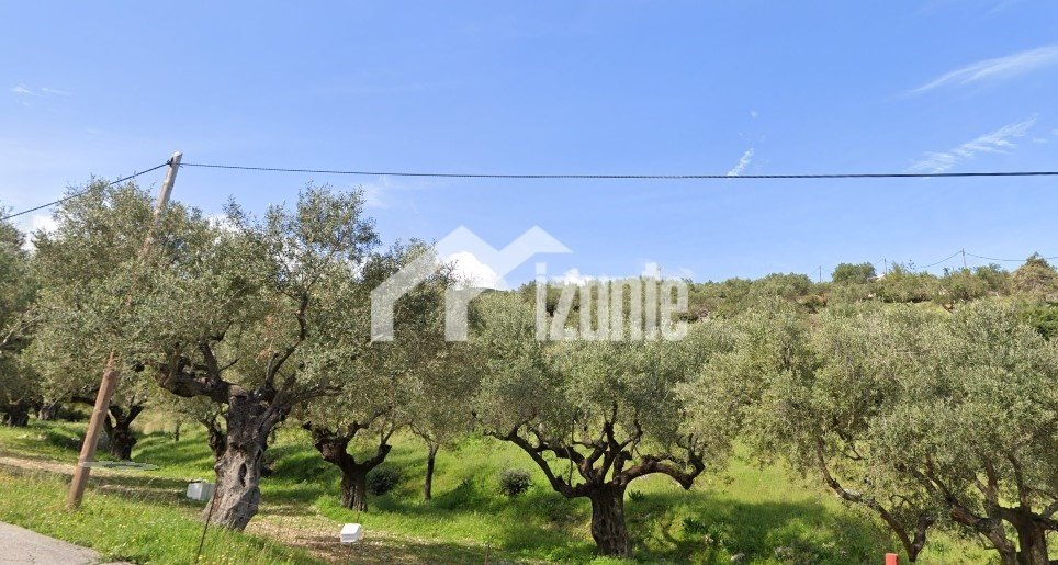 Land in Orthonion, Elaties, Greece 4 - 14789937