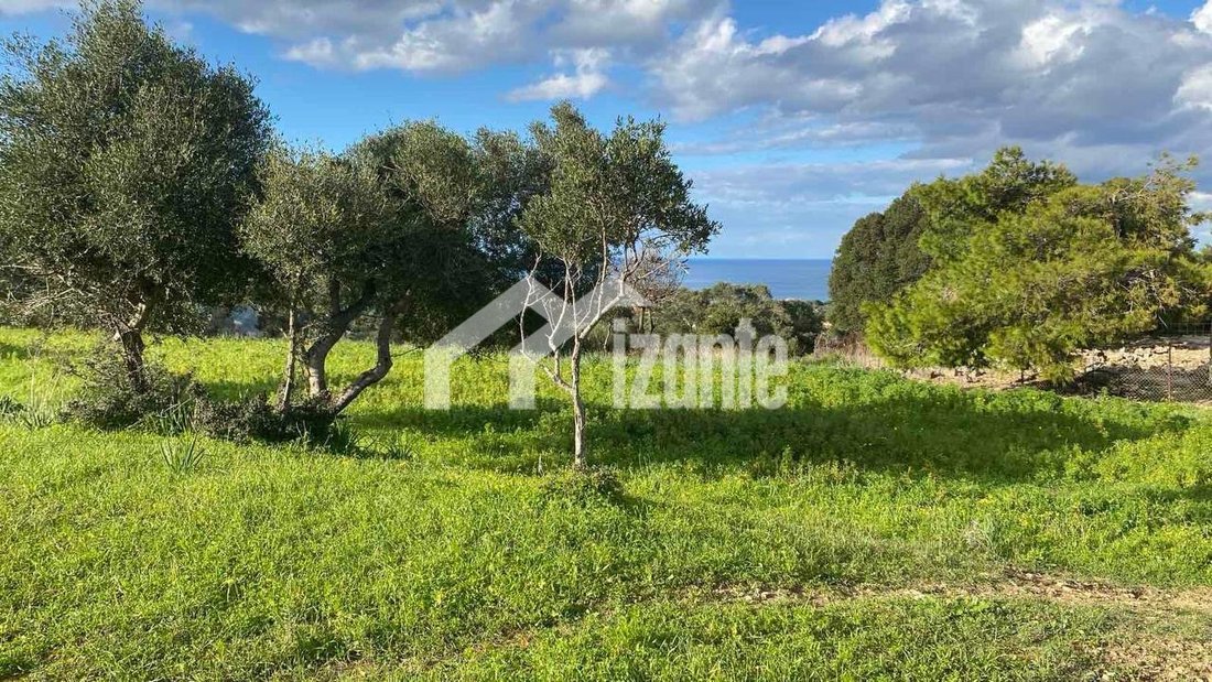 Land in Municipal Commune of Zakynthos, Peloponnese, Western Greece and the Ionian, Greece 4 - 14789996