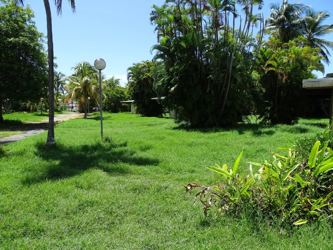 Sainte Anne Land In Sainte Anne, Grande Terre, Guadeloupe For Sale (14788833)