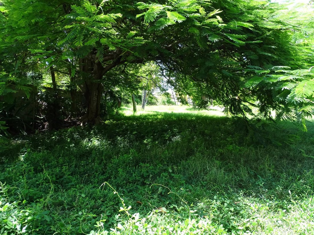 Sainte Anne Land In Sainte Anne, Grande Terre, Guadeloupe For Sale (14788833)