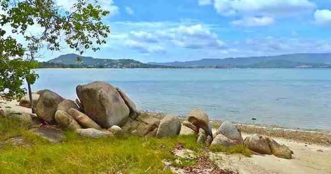 Land in Koh Samui, Surat Thani, Thailand 1 - 14791456