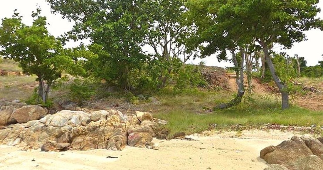 Land in Koh Samui, Surat Thani, Thailand 3 - 14791456