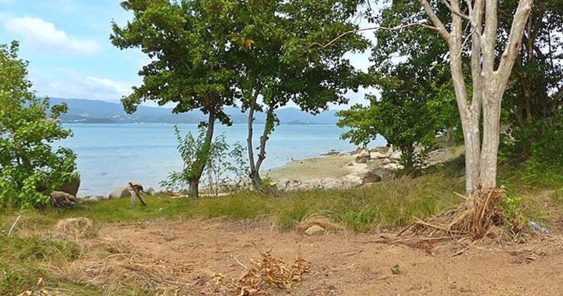 Land in Koh Samui, Surat Thani, Thailand 4 - 14791456