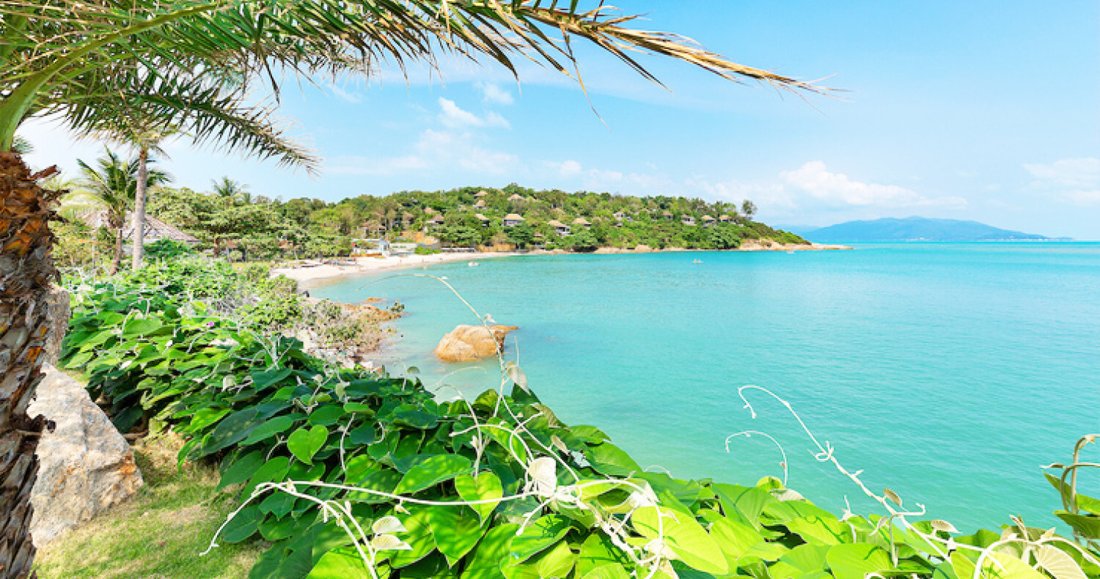 Villa in Koh Samui, Surat Thani, Thailand 5 - 14791624