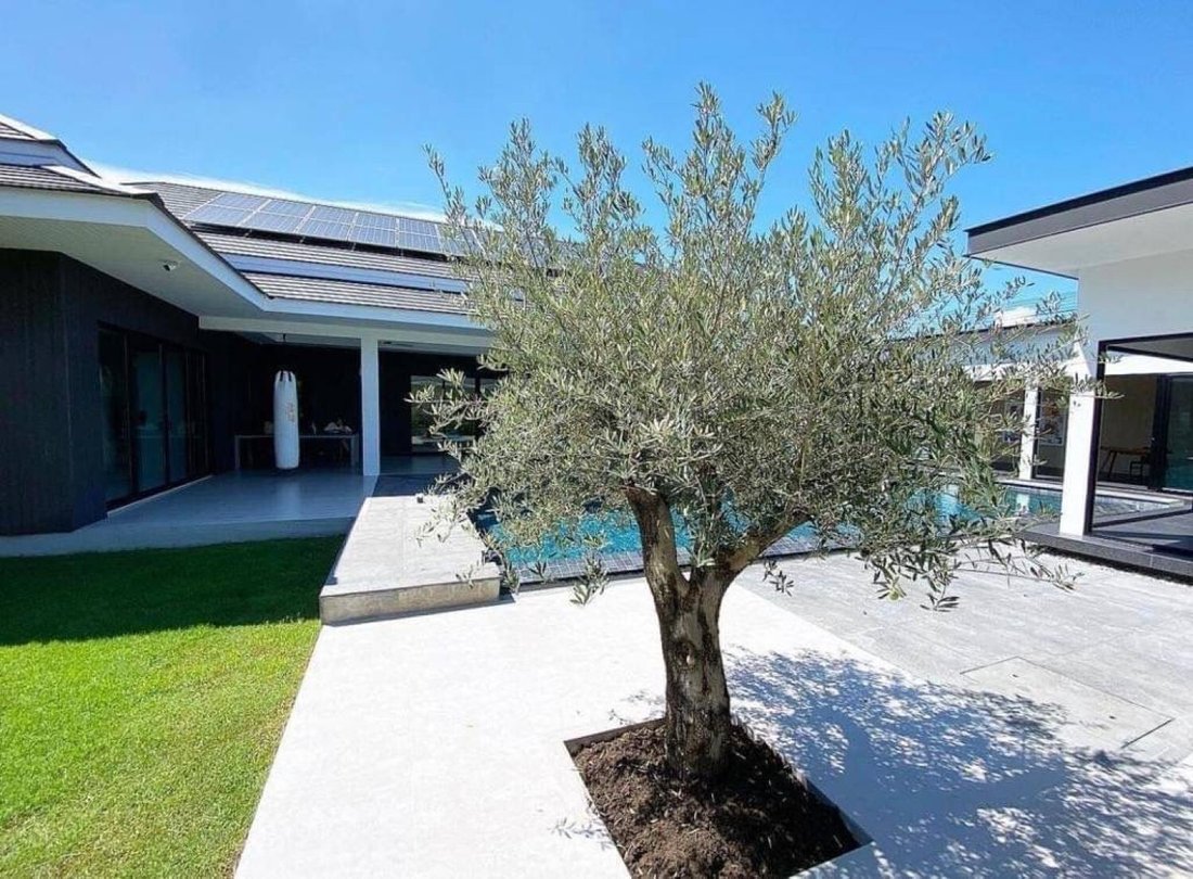Villa in Hua Hin, Hua Hin District, Thailand 1 - 14791495