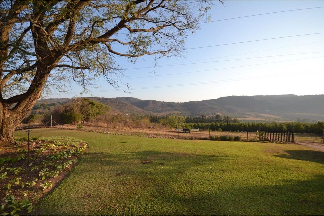 "Prime Commercial Farm For Sale" In Mbombela, Mpumalanga, South Africa