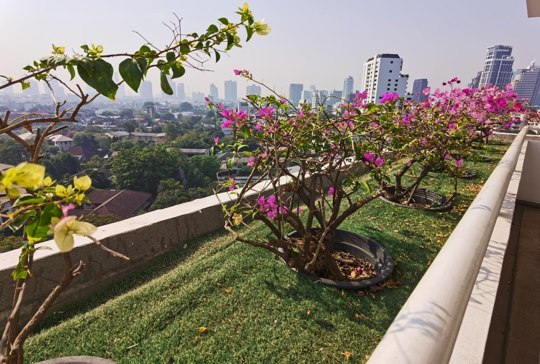 Condo in Phra Khanong Nuea, Bangkok, Thailand 1 - 14791840