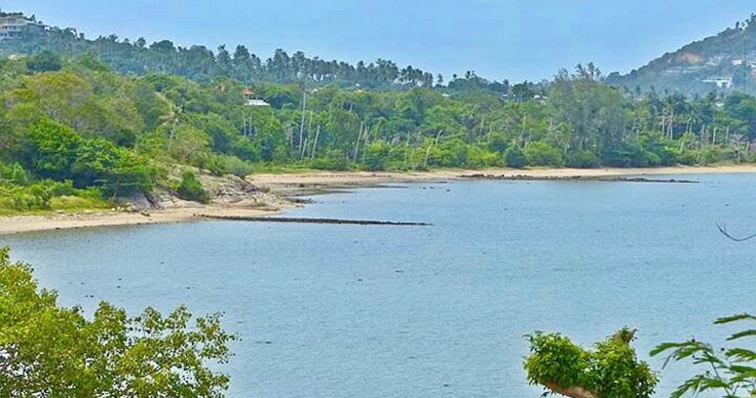 Land in Koh Samui, Surat Thani, Thailand 5 - 14791456