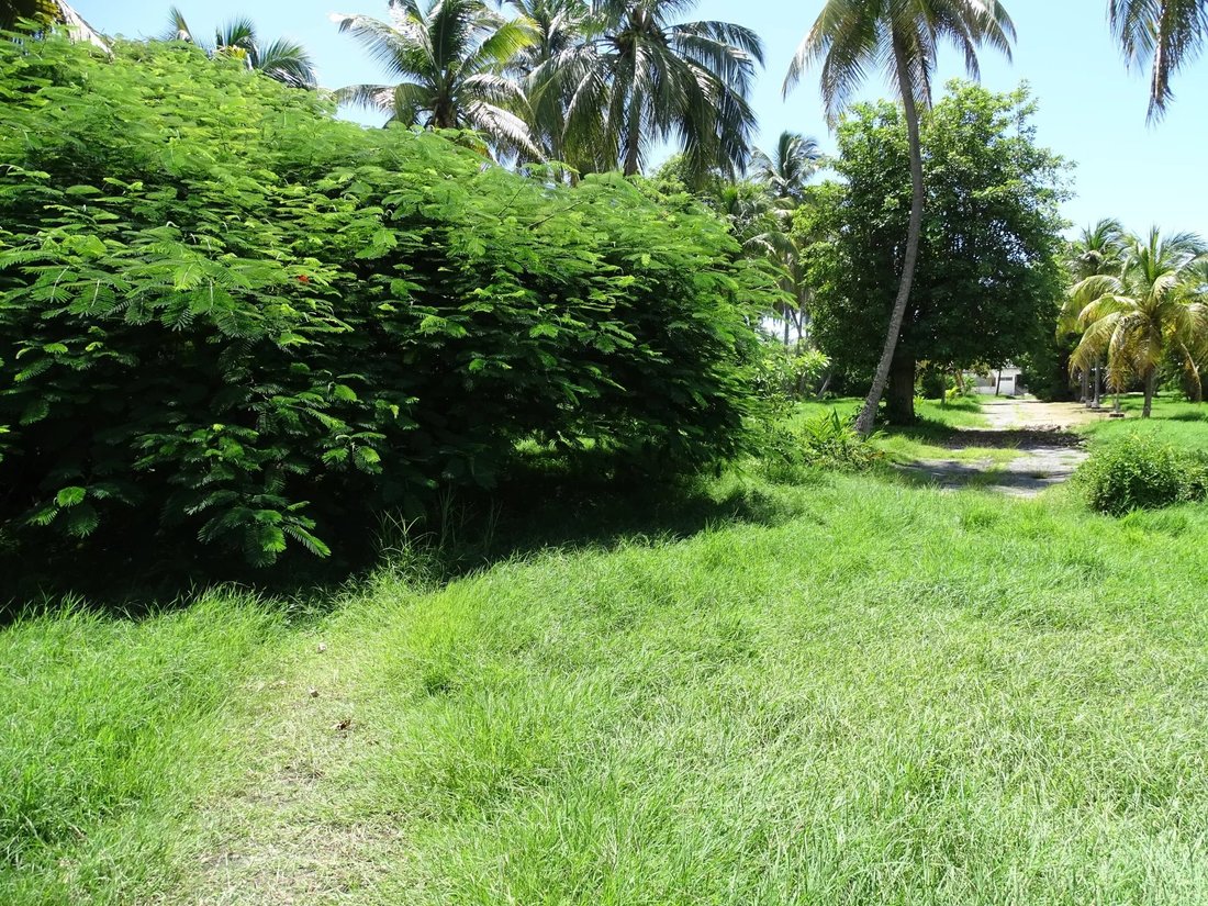 Sainte Anne Land In Sainte Anne, Grande Terre, Guadeloupe For Sale (14788833)