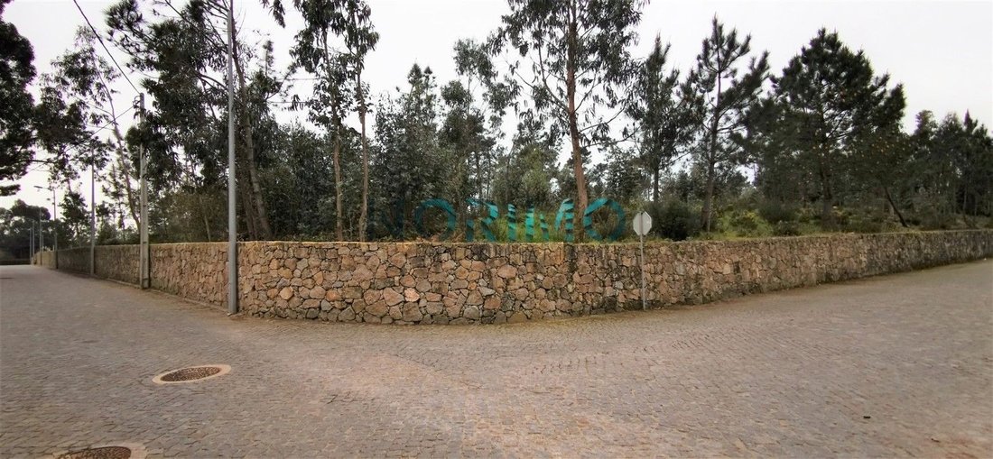 Povoa de Varzim, Beiriz e Argivai, Porto District, Portugal 1 - 14791551