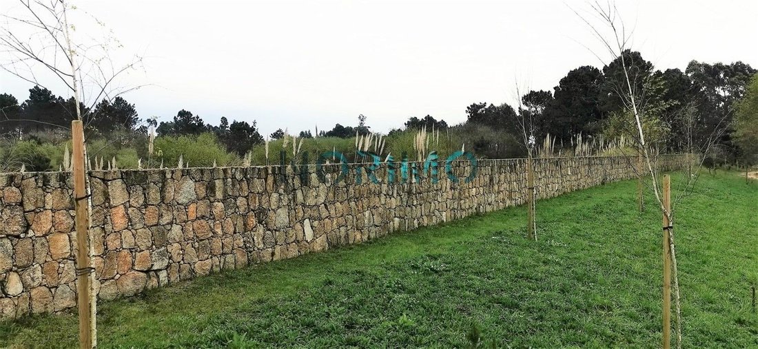 Povoa de Varzim, Beiriz e Argivai, Porto District, Portugal 5 - 14791551