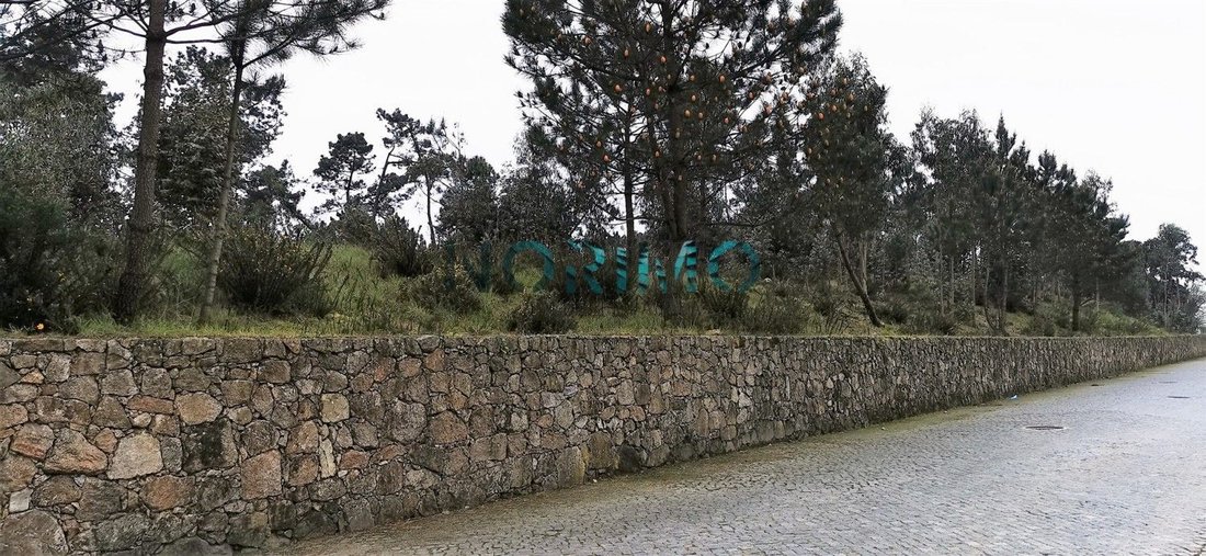 Povoa de Varzim, Beiriz e Argivai, Porto District, Portugal 4 - 14791551