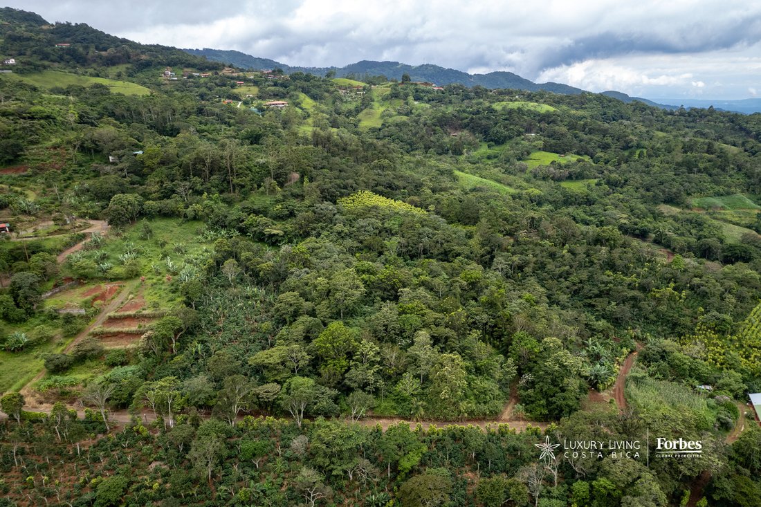 Land in Alfaro, Alajuela Province, Costa Rica 4 - 14792432