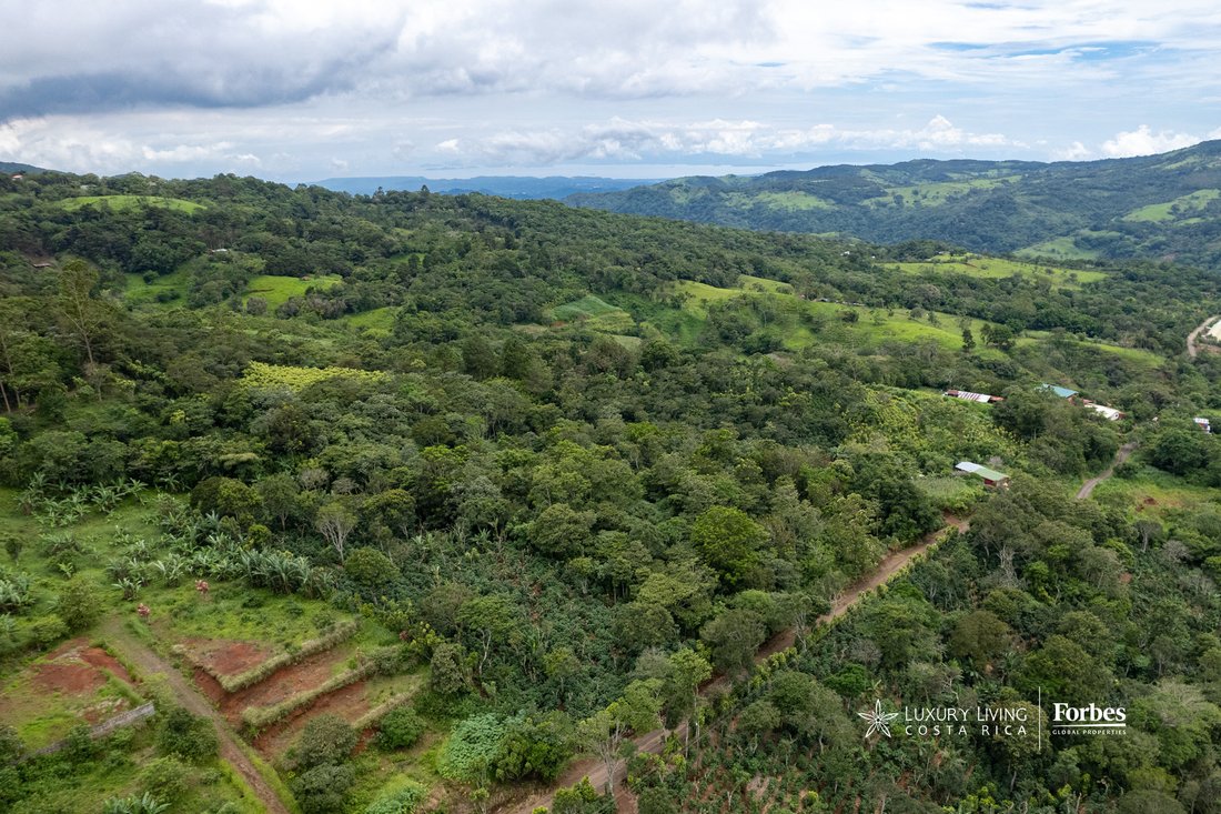 Land in Alfaro, Alajuela Province, Costa Rica 5 - 14792432
