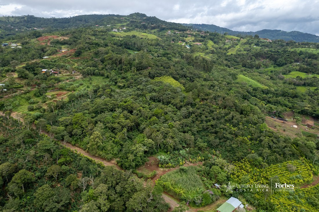 Land in Alfaro, Alajuela Province, Costa Rica 3 - 14792432