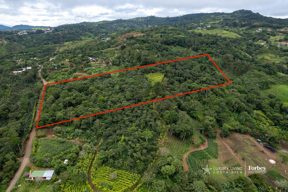 Land in Alfaro, Alajuela Province, Costa Rica 1 - 14792432