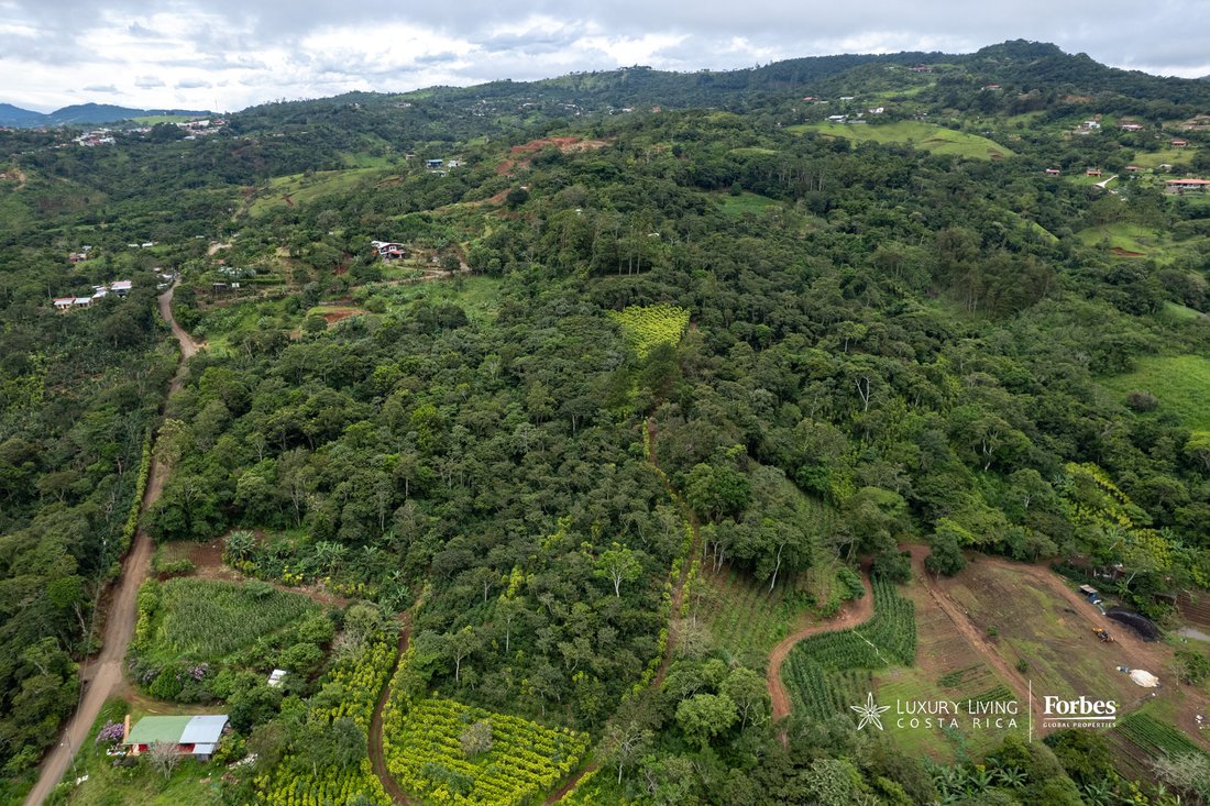 Land in Alfaro, Alajuela Province, Costa Rica 2 - 14792432